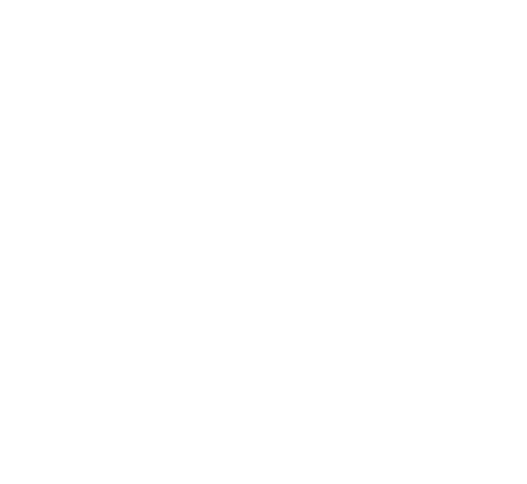 Puma Cordillera